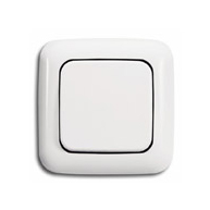 schakelaar van het merk bush & jäger